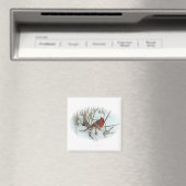 Koordinationselemente für den östlichen Kardinal S Magnet (In Situ (Geschirrspüler))