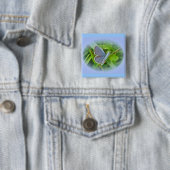 Koordinationselemente für den östlichen Schmetterl Button (Beispiel)