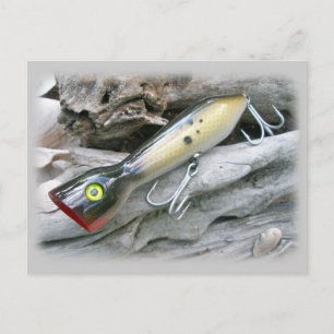 Koordinationselemente für die AJS Saltwater Lure P Postkarte