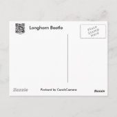 Koordinationselemente für langgestreckte Käfer Postkarte (Rückseite)