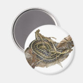 Koordinationsgegenstände der Young Eastern Garter  Magnet (Vorderseite/Rückseite)