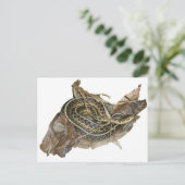 Koordinationsgegenstände der Young Eastern Garter Postkarte (Stehend Vorderseite)