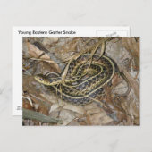 Koordinationsgegenstände der Young Eastern Garter Postkarte (Vorne/Hinten)