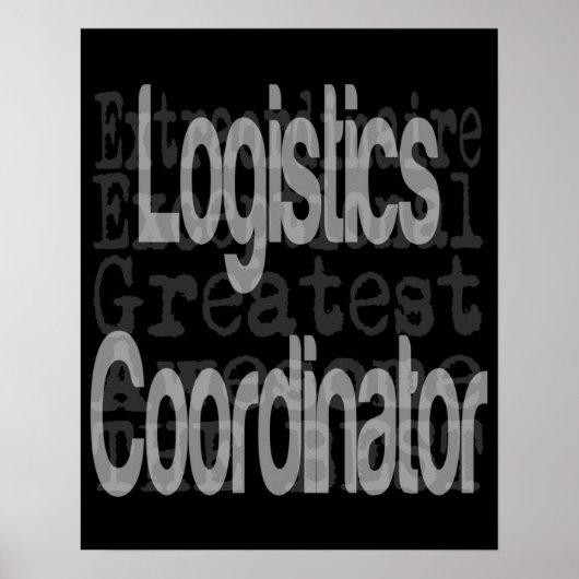 Koordinator für Logistik Poster (Vorne)