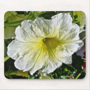 Koordinierelemente der weißen Petunia-Serie Mousepad