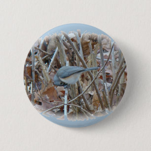 Koordinierelemente von Tufted Titmouse Songbird Button