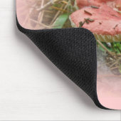 Koordinierte Elemente im Rosa Pilz Mousepad (Ecke)