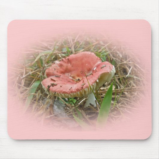 Koordinierte Elemente im Rosa Pilz Mousepad (Vorne)
