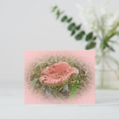 Koordinierte Elemente im Rosa Pilz Postkarte (Stehend Vorderseite)