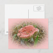 Koordinierte Elemente im Rosa Pilz Postkarte (Vorne/Hinten)