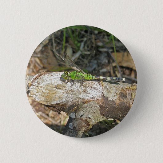 Koordinierte Gegenstände der östlichen Pondhawk Dr Button (Vorderseite)