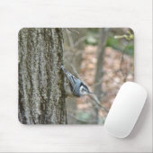 Koordinierte Gegenstände von Slate Gray Nuthatch S Mousepad (Mit Mouse)