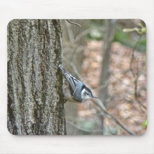 Koordinierte Gegenstände von Slate Gray Nuthatch S Mousepad (Vorne)