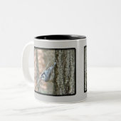 Koordinierte Gegenstände von Slate Gray Nuthatch S Zweifarbige Tasse (Vorderseite Links)