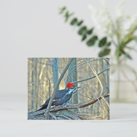 Koordinierte Speckelemente Postkarte (Stehend Vorderseite)