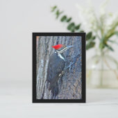 Koordinierte Speckelemente Postkarte (Stehend Vorderseite)