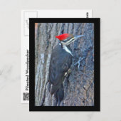 Koordinierte Speckelemente Postkarte (Vorne/Hinten)