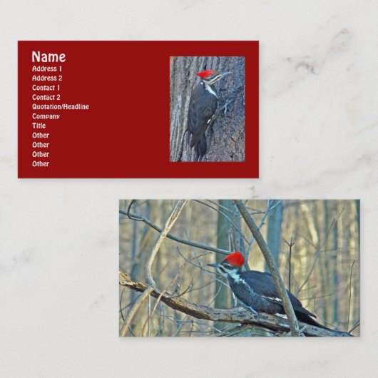 Koordinierte Speckelemente Visitenkarte (Vorne/Hinten)