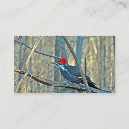 Koordinierte Speckelemente Visitenkarte (Rückseite)