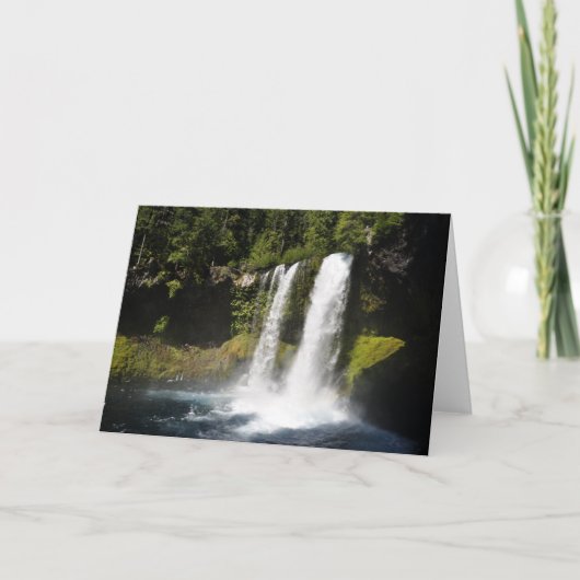 Koosah Fälle Karte (Vorderseite)