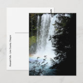 Koosah Falls Oregon Wasserfall Postkarte (Vorne/Hinten)