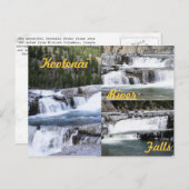 Kootenai River Falls, Montana! Postkarte (Vorne/Hinten)