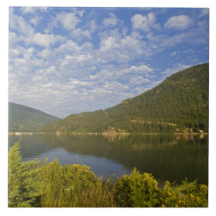 Kootenay Lake in Nelson, British Columbia Fliese