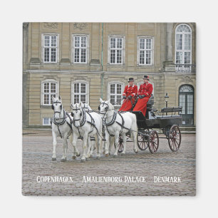 Kopenhagen/Amalienborg Palace Magnet! Magnet