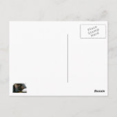 Kopenhagen Dänemark Postkarte (Rückseite)