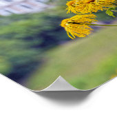 Kopenhagen, Dänemark, Sonnenblumen Poster (Ecke)