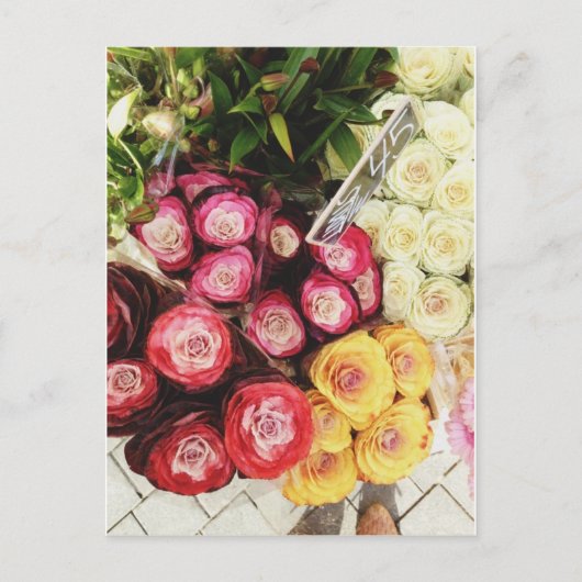 Kopenhagener Regenbogen-Blume Postkarte (Vorderseite)