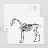 Köperliches Pferd Postkarte (Vorne/Hinten)