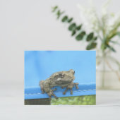 Kopes Tree Frog hängt aus Postkarte (Stehend Vorderseite)
