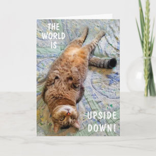 Kopf-an-Kopf-Katze Miss Sie Karte