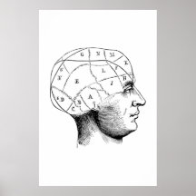 Kopf Anatomie Illustrationsposter