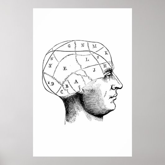 Kopf Anatomie Illustrationsposter Poster (Vorne)