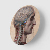 Kopf Anatomie Uhr (Winkel)