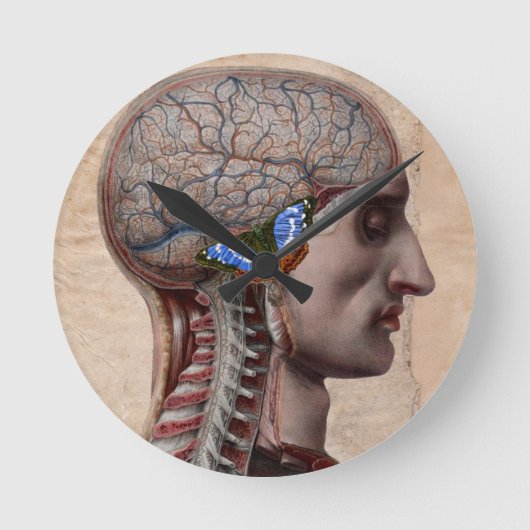 Kopf Anatomie Uhr (Vorderseite)