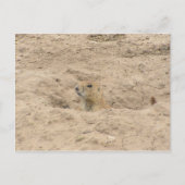 Kopf aus der Last Postkarte (Vorderseite)