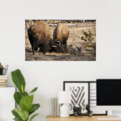 Kopf-Butting Bison - Fine Art Print Poster (Heimbüro)