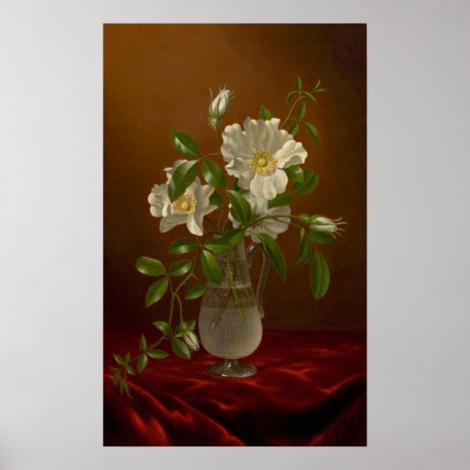 Kopf - Cherokee-Rose in einer Glasvase Poster (Vorne)