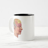 Kopf der antiken Gehirnkarte Phrenologie Zweifarbige Tasse (Vorderseite Links)