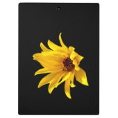 Kopf der gelben daisy Helenium Clipboard Klemmbrett (Rückseite)
