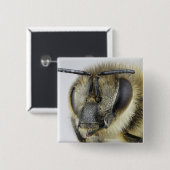 Kopf der Honigbiene Button (Vorne & Hinten)