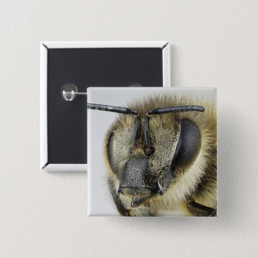 Kopf der Honigbiene Button (Vorne & Hinten)