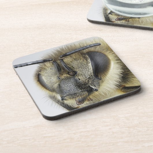 Kopf der Honigbiene Getränkeuntersetzer (Linke Seite)