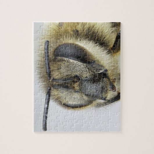 Kopf der Honigbiene Puzzle (Vertikal)