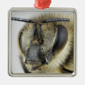 Kopf der Honigbiene Silbernes Ornament (Vorne)