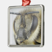 Kopf der Honigbiene Silbernes Ornament (Links)