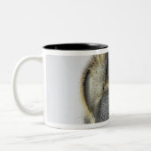 Kopf der Honigbiene Zweifarbige Tasse (Links)